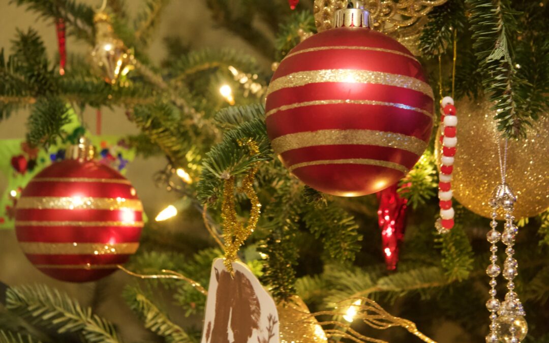 青少年部会 クリスマス会のご案内　　１２／２０（土）